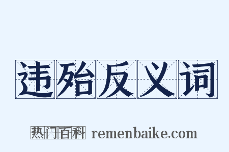 违殆反义词是什么意思的图片